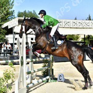 (JAS-2025) : 5 médailles dont 4 en or pour l’équipe d’Algérie d'Equitation