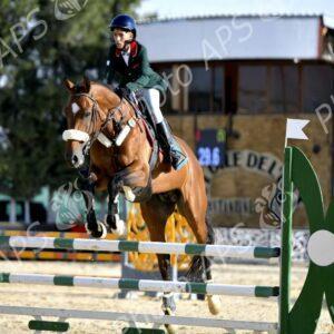 (JAS-2025) : 5 médailles dont 4 en or pour l’équipe d’Algérie d'Equitation