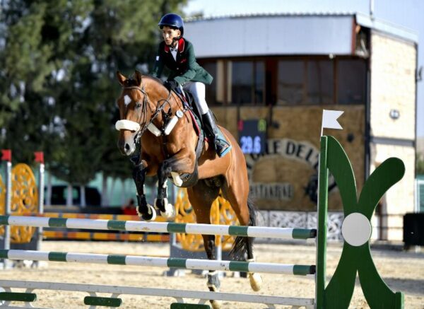 (JAS-2025) : 5 médailles dont 4 en or pour l’équipe d’Algérie d'Equitation