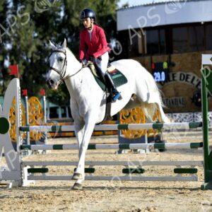(JAS-2025) : 5 médailles dont 4 en or pour l’équipe d’Algérie d'Equitation