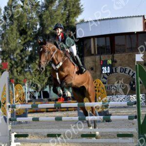 (JAS-2025) : 5 médailles dont 4 en or pour l’équipe d’Algérie d'Equitation