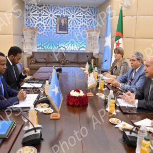 Le MAE Attaf s'entretient avec son homologue somalien en visite officielle en Algérie