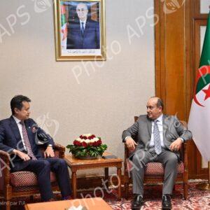 Le Premier ministre par intérim reçoit le Directeur général de l'OMPI