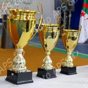 Oran : Clôture de la 60e édition du championnat d'Algérie d'haltérophilie