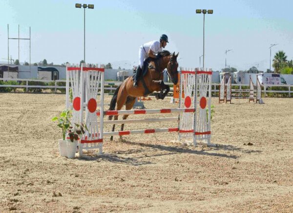 Oran : début des épreuves du Grand concours national de saut d'obstacles "deux et trois étoiles"