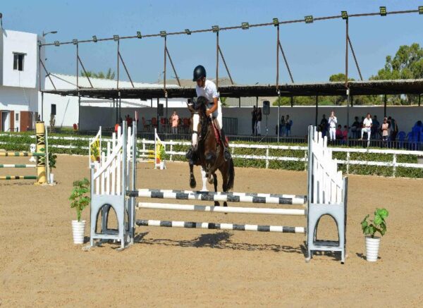 Oran : début des épreuves du Grand concours national de saut d'obstacles "deux et trois étoiles"