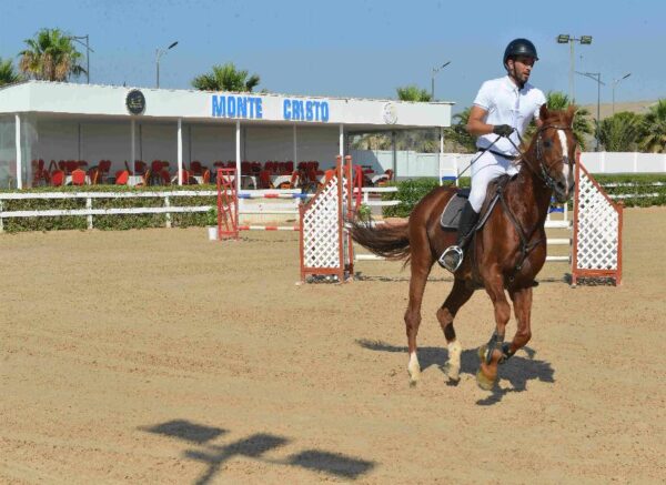 Oran : début des épreuves du Grand concours national de saut d'obstacles "deux et trois étoiles"