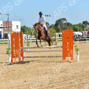 Oran : début des épreuves du Grand concours national de saut d'obstacles "deux et trois étoiles"