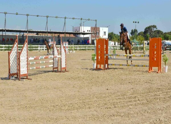 Oran : début des épreuves du Grand concours national de saut d'obstacles "deux et trois étoiles"