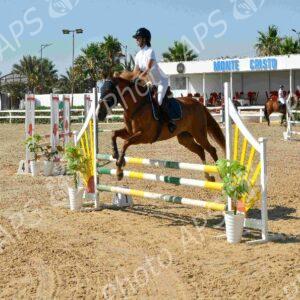 Oran : début des épreuves du Grand concours national de saut d'obstacles "deux et trois étoiles"