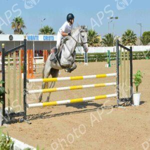 Oran : début des épreuves du Grand concours national de saut d'obstacles "deux et trois étoiles"