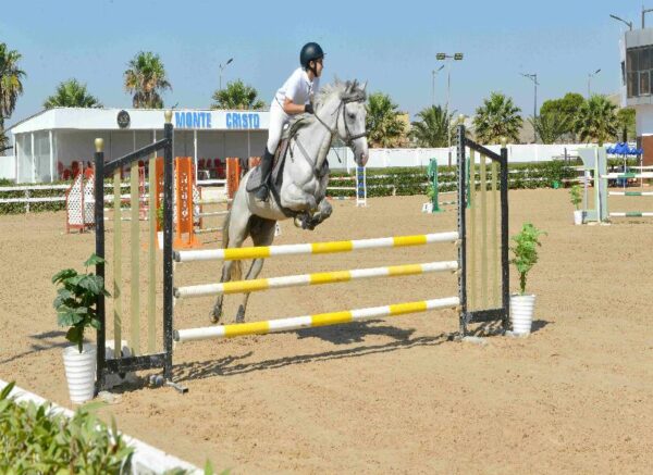 Oran : début des épreuves du Grand concours national de saut d'obstacles "deux et trois étoiles"
