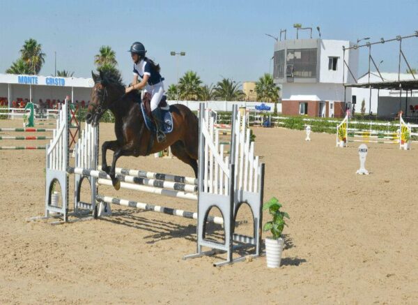 Oran : début des épreuves du Grand concours national de saut d'obstacles "deux et trois étoiles"