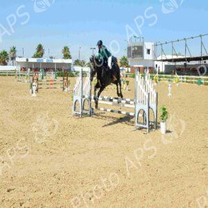 Oran : début des épreuves du Grand concours national de saut d'obstacles "deux et trois étoiles"