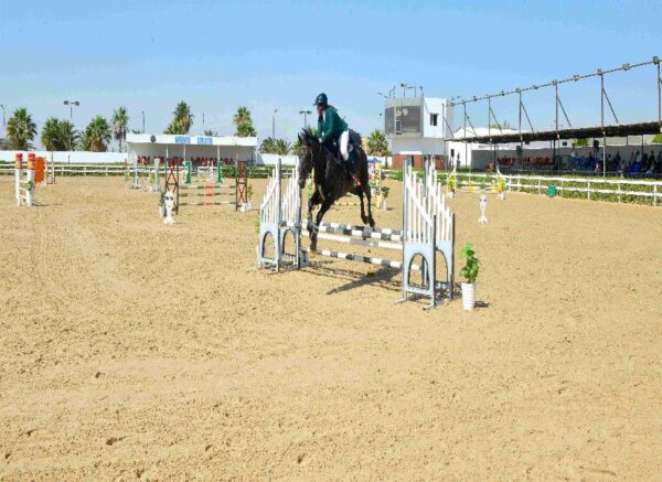 Oran : début des épreuves du Grand concours national de saut d'obstacles "deux et trois étoiles"