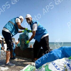 Alger : campagne de nettoiement des plages des algues marines