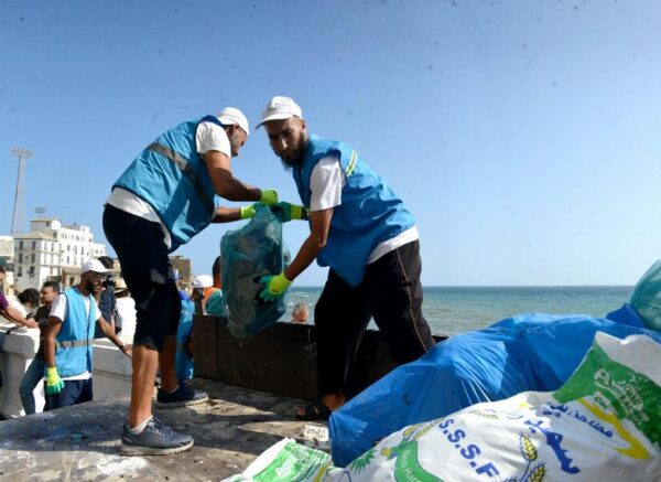 Alger : campagne de nettoiement des plages des algues marines