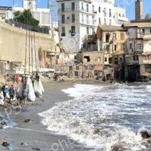 Alger : campagne de nettoiement des plages des algues marines