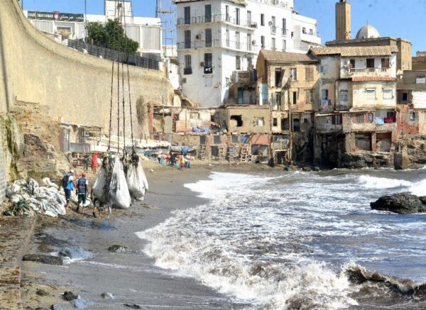 Alger : campagne de nettoiement des plages des algues marines