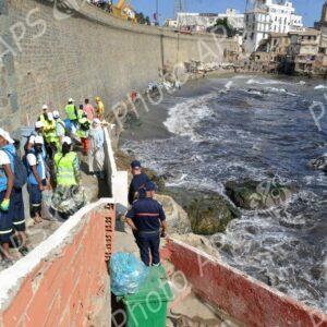 Alger : campagne de nettoiement des plages des algues marines