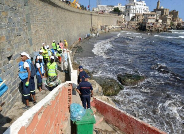 Alger : campagne de nettoiement des plages des algues marines