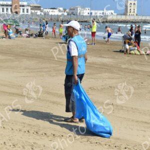 Alger : campagne de nettoiement des plages des algues marines