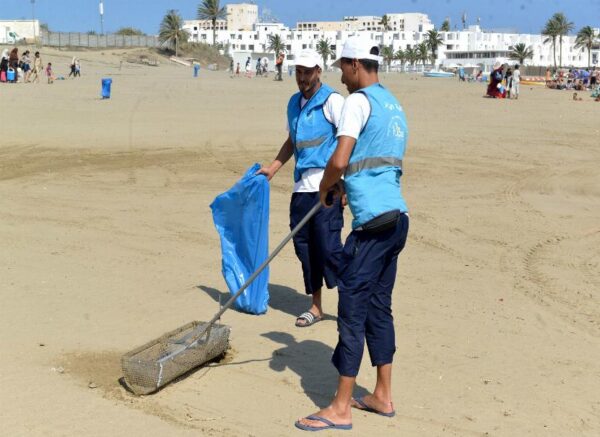 Alger : campagne de nettoiement des plages des algues marines