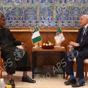Le ministre des Affaires étrangères reçoit son homologue de la République fédérale du Nigeria