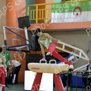JSA 2025 : 22 médailles dont 10 en or pour l’Algérie en gymnastique artistique