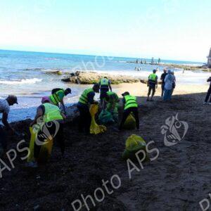 Oran : coup d’envoi d’une opération de nettoyage des algues sur les plages