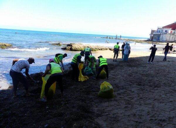 Oran : coup d’envoi d’une opération de nettoyage des algues sur les plages