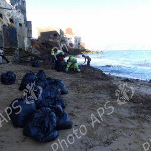 Oran : coup d’envoi d’une opération de nettoyage des algues sur les plages