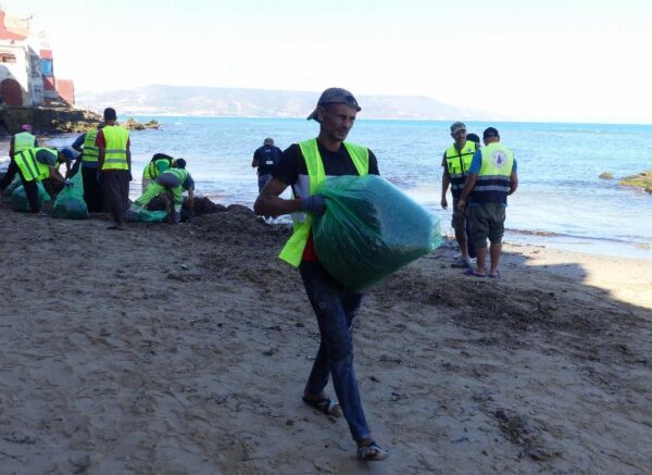 Oran : coup d’envoi d’une opération de nettoyage des algues sur les plages