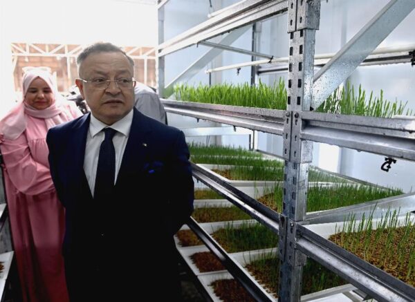 Le ministre de l'Enseignement supérieur inaugure deux projets pilotes dans les domaines des énergies renouvelables et de l'agriculture durable