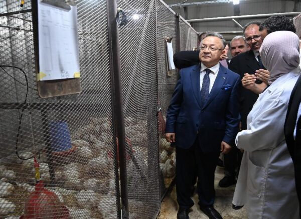 Le ministre de l'Enseignement supérieur inaugure deux projets pilotes dans les domaines des énergies renouvelables et de l'agriculture durable