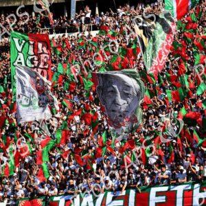 Foot/ Ligue 1 Mobilis (30e et dernière journée) : le MC Alger sacré pour la 9e fois