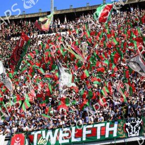 Foot/ Ligue 1 Mobilis (30e et dernière journée) : le MC Alger sacré pour la 9e fois