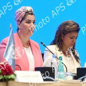 Début des travaux de la 16e session de la Commission du développement social