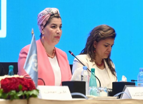 Début des travaux de la 16e session de la Commission du développement social