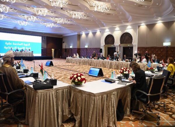 Début des travaux de la 16e session de la Commission du développement social