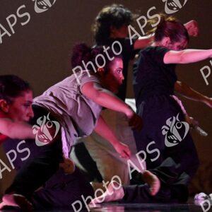 Le 13e Festival international de danse contemporaine s'ouvre à Alger