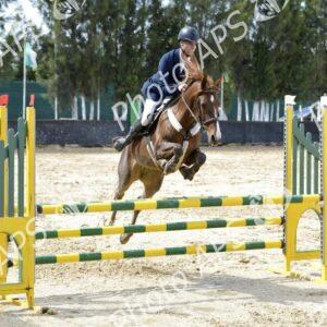 Constantine : coup d'envoi du concours national de saut d’obstacles d'équitation au club Etoile de l’Est