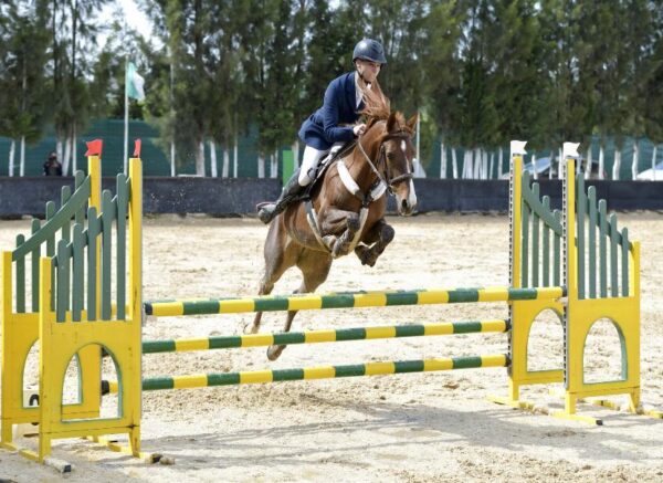 Constantine : coup d'envoi du concours national de saut d’obstacles d'équitation au club Etoile de l’Est