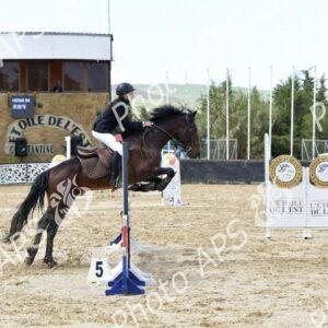 Constantine : coup d'envoi du concours national de saut d’obstacles d'équitation au club Etoile de l’Est