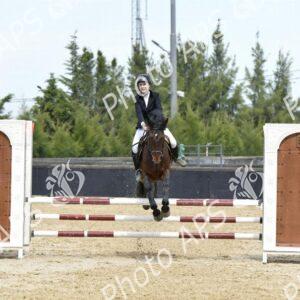 Constantine : coup d'envoi du concours national de saut d’obstacles d'équitation au club Etoile de l’Est