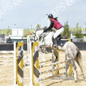 Constantine : coup d'envoi du concours national de saut d’obstacles d'équitation au club Etoile de l’Est