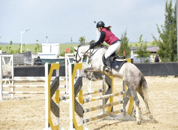 Constantine : coup d'envoi du concours national de saut d’obstacles d'équitation au club Etoile de l’Est