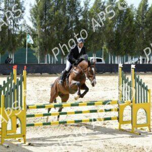 Constantine : coup d'envoi du concours national de saut d’obstacles d'équitation au club Etoile de l’Est