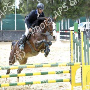 Constantine : coup d'envoi du concours national de saut d’obstacles d'équitation au club Etoile de l’Est