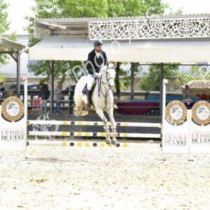 Constantine : coup d'envoi du concours national de saut d’obstacles d'équitation au club Etoile de l’Est